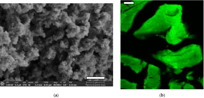 Figure S1). The aerogel is dominantly mesoporous with few macropores. The fluorescence properties of the functionalized aerogel are practically the same as those of fluorescein, as described in our previous publications [12,13,28]