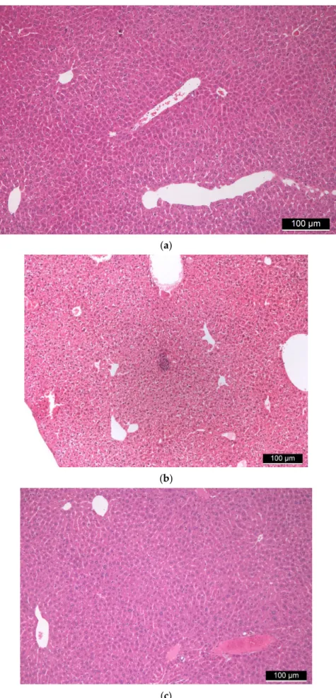 Figure 3. (a) Control liver tissue. (b,c) Liver tissues of “low dose” (b) and “high dose” (c) FSGM-treated mice