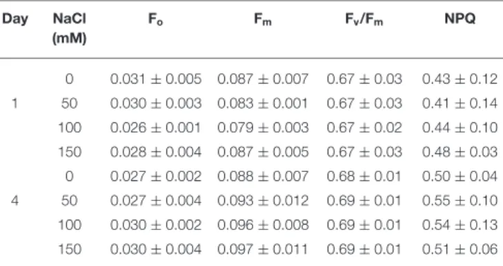 TABLE 2 | The chlorophyll (Chl) fluorescence parameters of E. gracilis cells grown under salt stress.