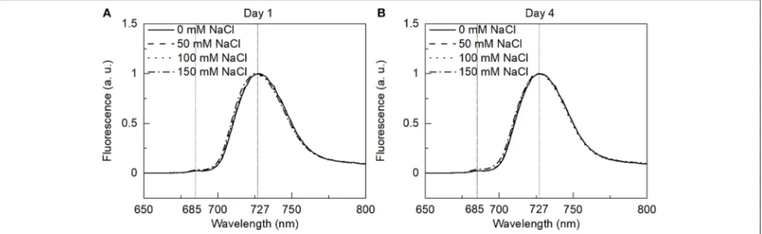 FIGURE 5 | The 77 K fluorescence emission spectra of the control and salt-treated E. gracilis cells with 436 nm excitation were measured on (A) day 1 and (B) day 4.