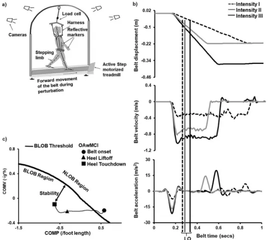 Fig. 1. (a) Experimental setup to of participants exposed to slip-like perturbations in stance