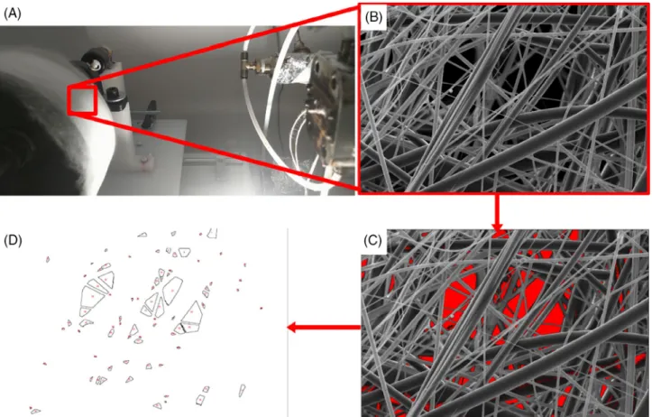 Figure 2 shows the SEM images of the fibers collected at different DCDs. The figure also presents the fiber diameter distributions obtained from the image analysis.