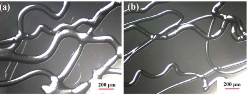 Figure 8. Optical microscopic images of PP MB fibers produced at (a) DCD = 25 mm and (b)  DCD = 50 mm  122