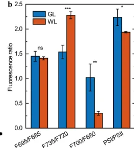 Fig. 5    Chl a fluorescence spectra at 77  K. a 77  K  Chl a fluores- fluores-cence emission spectra of Arabidopsis thylakoids isolated from  dark-adapted leaves acclimated to green (GL) and white (WL) light,  normalized to PSI emission; and WL-GL differe