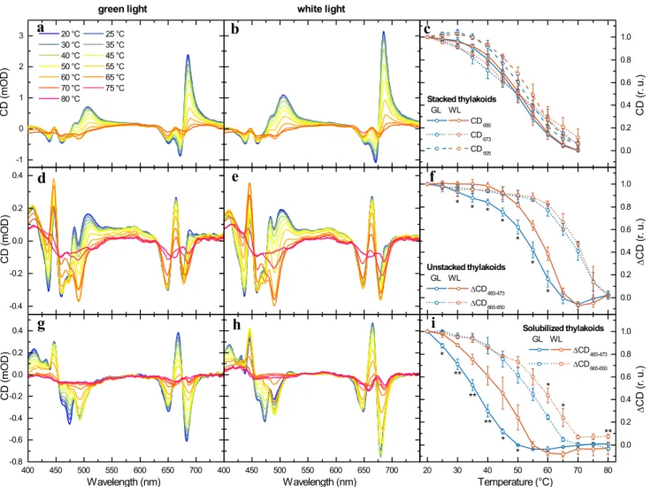 Fig. 7    Temperature dependence of the CD spectra of thylakoid  membranes and LHCII trimers