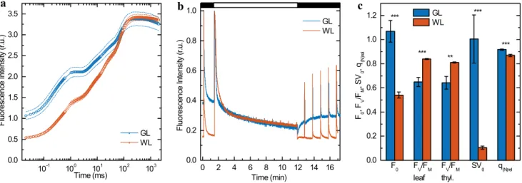 Fig. 4    Room temperature Chl a fluorescence analysis of detached  Arabidopsis leaves acclimated to light intensity of 100  μmol  pho-tons   m −2     s −1  of either green (GL) or white (WL) light
