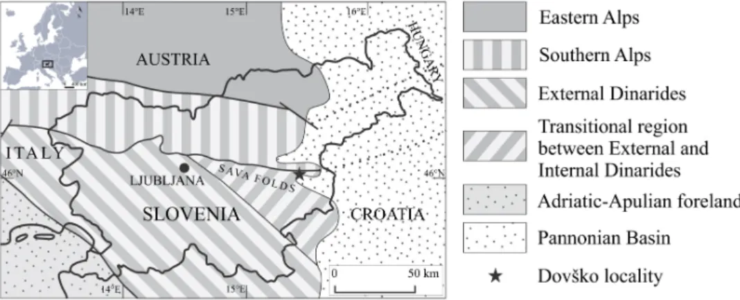 Figure 1. Simplified geological map showing the main structural units and the location of the Dovško Section (black star) of Slovenia