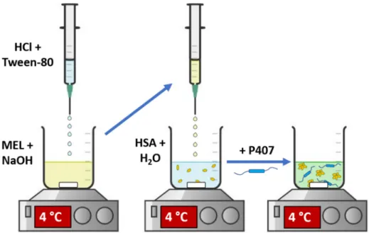 Figure 1. Preparation of MEL-HSA-P407. 
