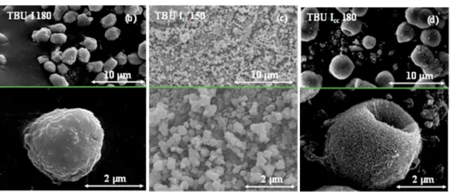 Fig. 7. SEM micrographs of TBU I samples present dominantly microspherical aggregates