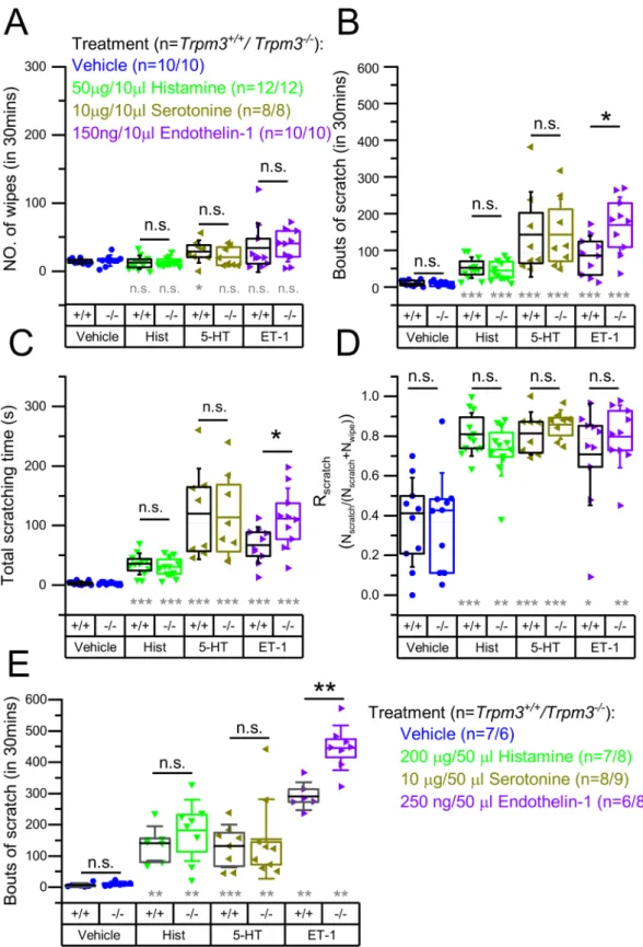 Fig. 2. Quantification of the itch and pain related behavior induced by Hist, 5-HT, and ET-1 in Trpm3 +/+ and Trpm3 − /− mice