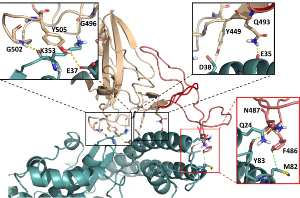 Figure 2 was rendered with Pymol [25].