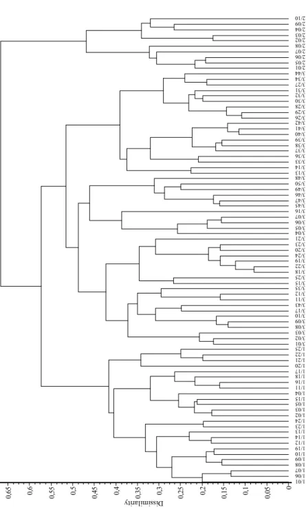 6. ábra. A vizsgált bükkös erdőtársulások bináris dendrogramja (hasonlósági index: Baroni-Urbani – Buser; osztályozó módszer: teljes lánc)