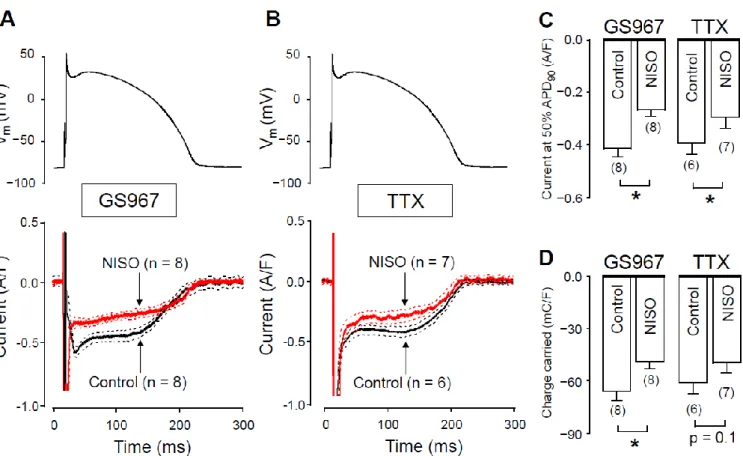 Figure 2. GS967-sensitive and TTX-sensitive currents were recorded under action potential voltage-clamp conditions in  the absence and presence of nisoldipine