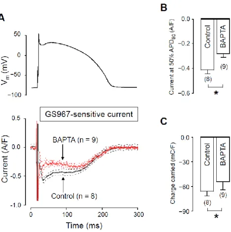 Figure 4. Effects of GS967 on I NaL  under action potential voltage clamp conditions in control and in  the presence of 10 mM BAPTA, added to the pipette solution