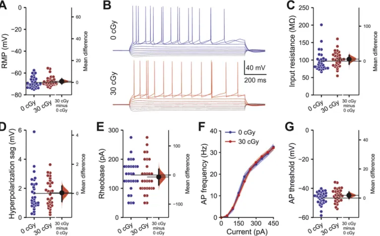 Fig. 3A-B). To test for differences in the sEPSC properties of individual  neurons, all sEPSCs detected within a 200 s recording period from each  cell were averaged together to generate a standard profile (Fig