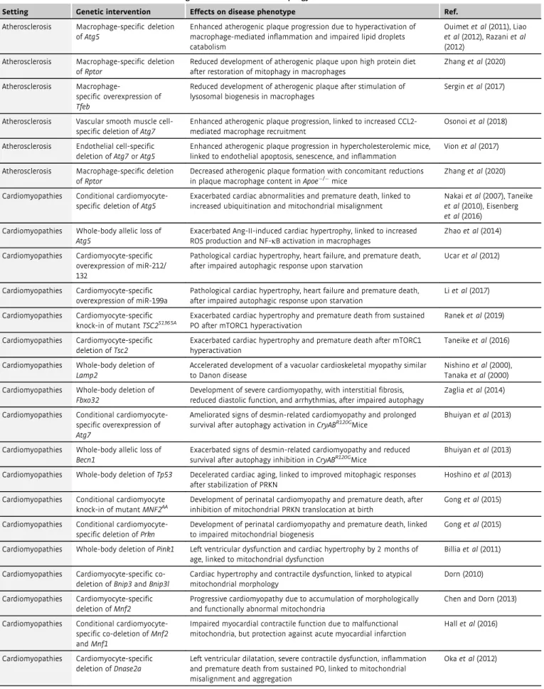 Table 2 . Cardiovascular diseases associated with genetic intervention of autophagy in mice.