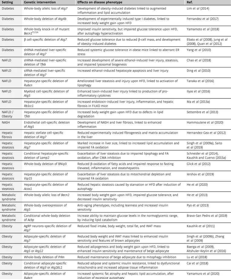 Table 6 . Metabolic syndromes associated with genetic intervention of autophagy in mice.