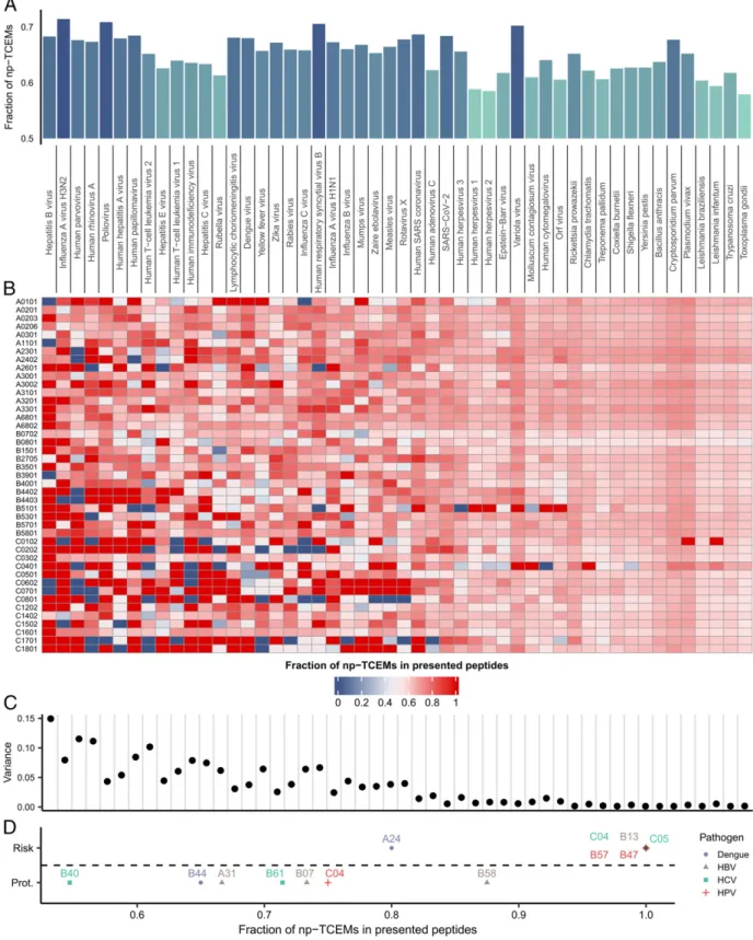 Fig. 5. The effect of self-mediated positive selection on the recognition of pathogens