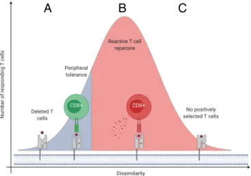 Fig. 6. The blindness of immune recognition for peptides that are overly dissimilar to human proteins