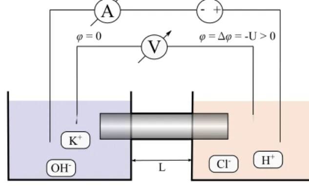 Fig. 1. Schematic view of a strong acid-base diode: An alkaline reservoir (ﬁlled by e.g