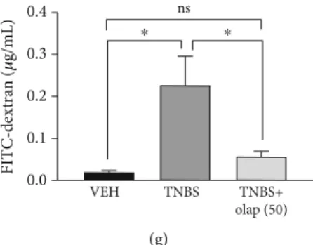 Figure 1: Olaparib treatment attenuated TNBS-induced colitis in mice. (a) Experimental protocol of TNBS-induced colitis and olaparib treatment
