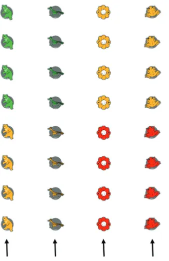 10. ábra: LippoZoo-sorok kétféle korongból négy kisebb csoport részére