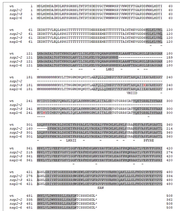 FIGURE 2 | Alignment of the amino acid sequences of wild-type and Nodulation Signaling Pathway 2 (NSP2) mutant alleles