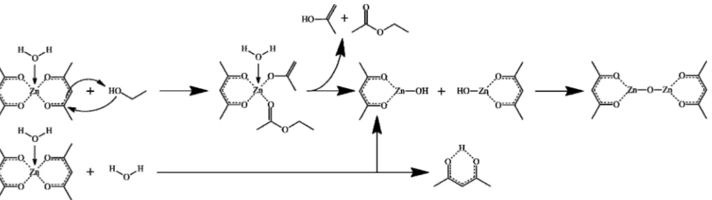 Figure 1. Proposed mechanisms of Zn-O-Zn bond formation from zinc-acetylacetonate monohydrate