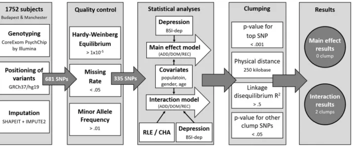 Fig 1. Methods of investigating the effects of variation in P2RX7 in interaction with childhood adversities and recent life events on current depression: Study population, quality control steps and statistical analyses