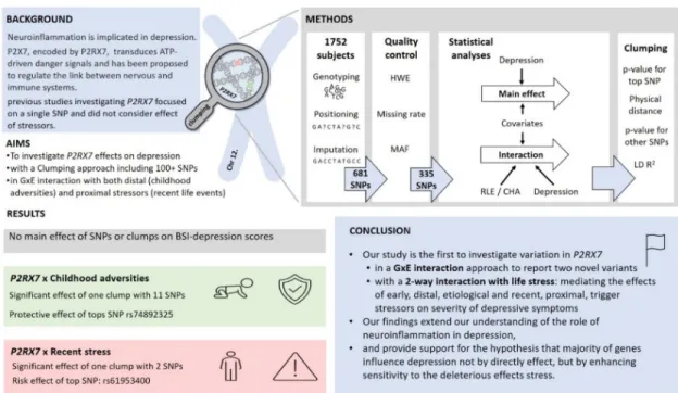 Fig 5. A summary of the study on the effect of P2RX7 variation in interaction with childhood adversity and recent stress on the severity of depressive symptoms.