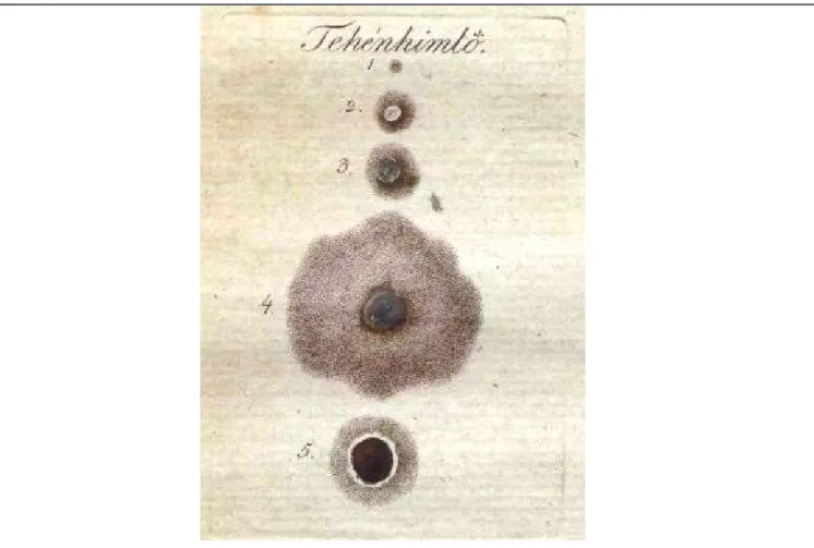 Figure 3: Evolution of the cowpox pustule on the 3rd, 5th, 7th, 9th and 14th days following  vaccination