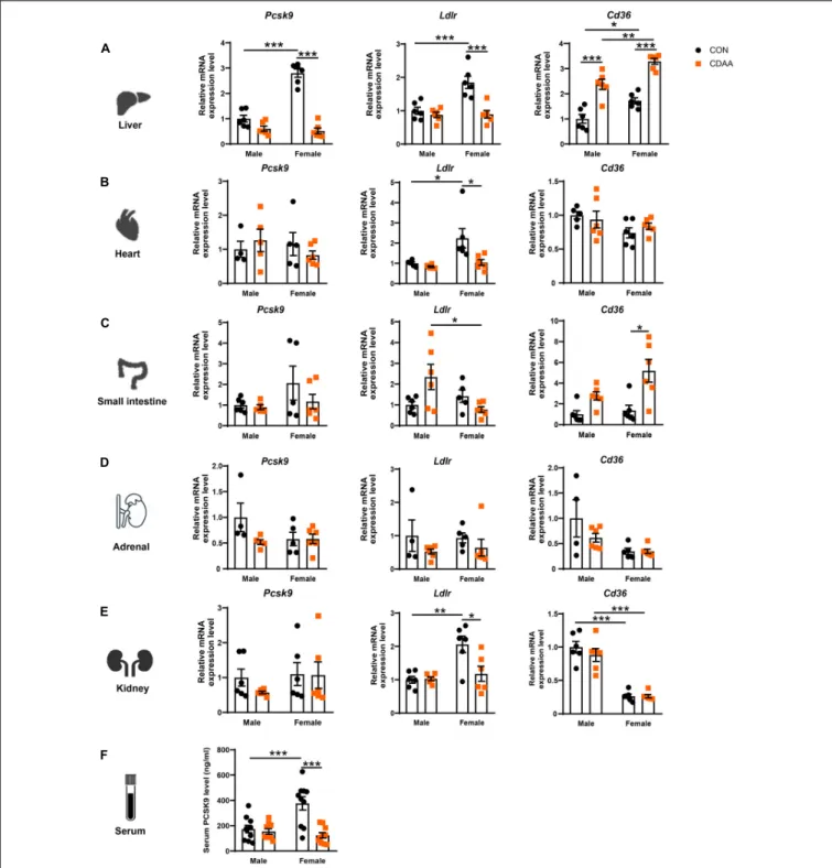 FIGURE 3 | Changes of expression Pcsk9, Ldlr, and Cd36 genes upon CDAA-induced NASH in the liver, heart, small intestine, adrenal, and kidney, as well as PCSK9 serum concentration