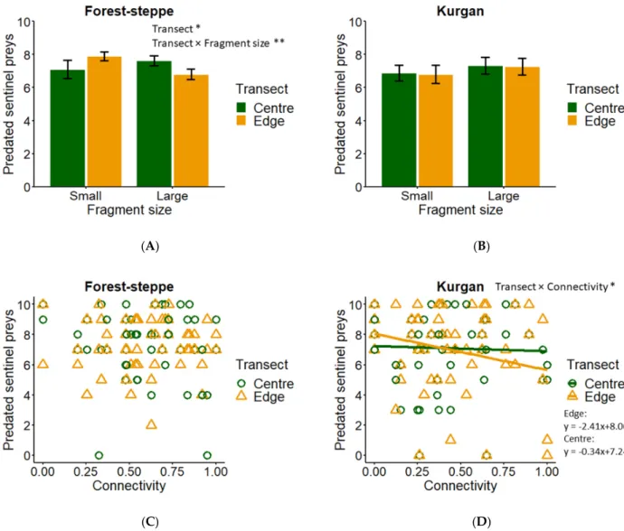 Figure 2. Insect predation. Interacting effect of (A) fragment size and edge effect on insect predation in forest steppes; (B)  fragment size and edge effect on insect predation in kurgans (mean  ±  SE); (C) connectivity and edge effect on insect  pre-dati