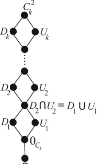 Fig. 4 The lattice of binary invariant relations of C k ...... D 1 U 1U2D2UkDkCk2 0 C kD2 U U 2 = D 1 U 1U o