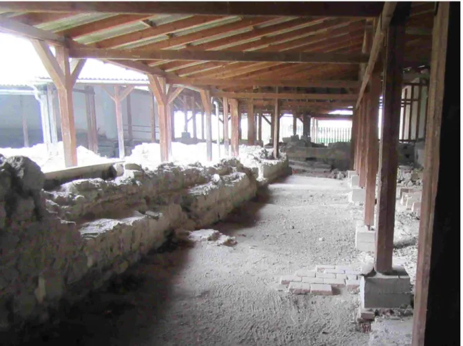 Figure 6. Undulating floor in the southern sector of the cloister walk. Originally covered by bricks, now the 