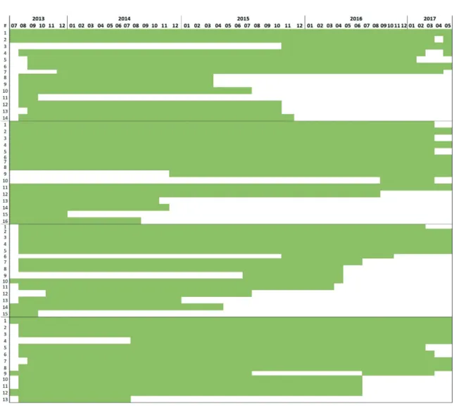 2. ábra: Segéd-egészségőrök alkalmazásának időtartama a Modellprogram teljes időtartama során (a  vízszintes zöld oszlopok az egyes személyek alkalmazási időtartamát jelzik a Program hónapjai szerint 