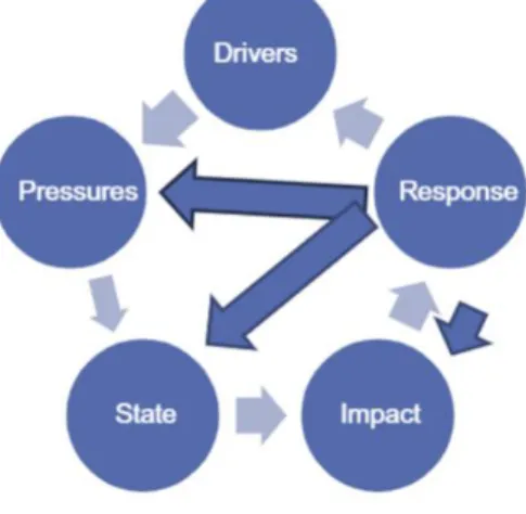 Figure 3. DPSIR model [2]. 