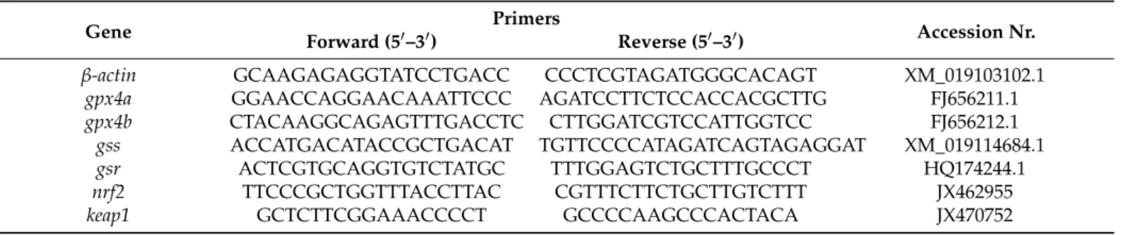 Table 6. Primers of endogenous control (β-actin) and target (gpx4a, gpx4b, gss, gsr, nrf2 and keap1) genes.