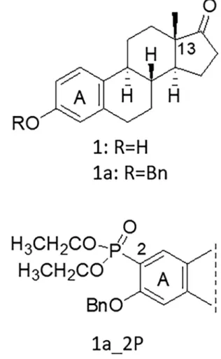 Fig. 1. Selected 13 β -estrone-based high affinity OATP2B1 inhibitor (1a_2P).  