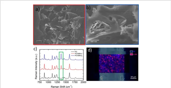 Figure 6. Cross section SEM micrographs of (a) PC/h-BN-s 0.5 wt% and (b) PC/h-BN-p 0.5 wt%