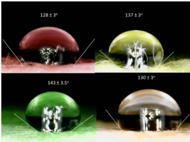 Figure 6. Hydrophobic tests of the samples.
