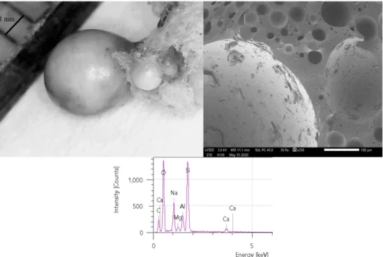 Figure 9 shows the microscope images and the EDS spectra of the burned samples.