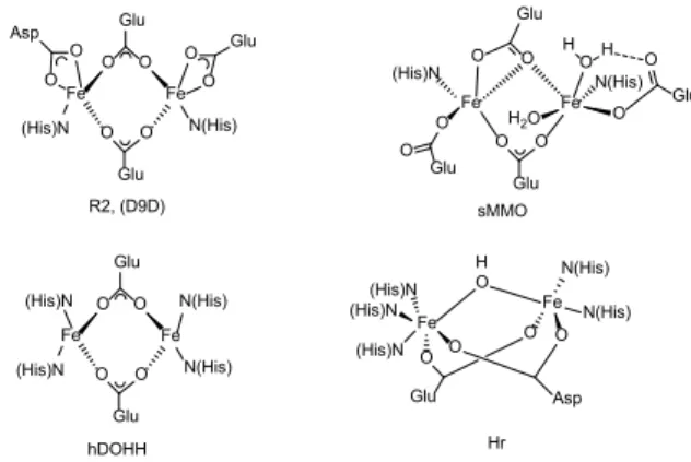 9. Ábra. Peroxo-divas(III) komplexek előállításához használt  ligandumok