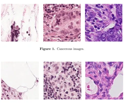 Figure 2. Non-cancerous images.