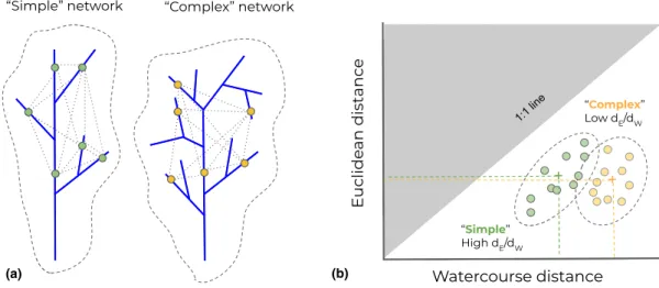 Figure 2 Relationship between network branching complexity and the ratio of Euclidean to watercourse distance (d E /d W ) between populations, represented by colored dots over the networks (a)