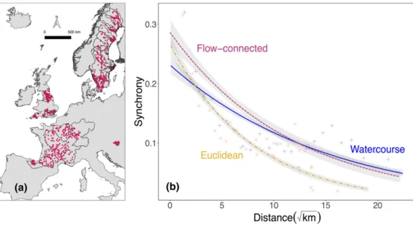 Figure 3 (a) Location of sites (n = 1150) and basins (58) used in the study. (b) Empirical synchrograms showing the decay of synchrony as separate exponential fits for watercourse (continuous line), Euclidean (dot-dashed) and flow-connected (dashed; direct
