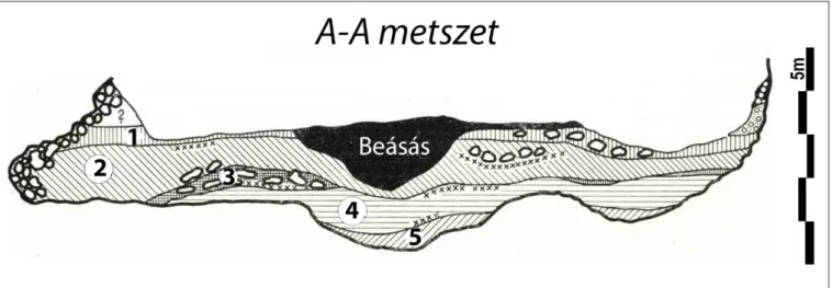 3. kép. Az 1951-es szelvény rétegtani metszete (V érteS  1955, Abb. 3b), a 2. kép A–A metszete