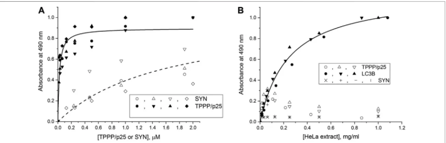 FIGURE 1 | Interaction of the autophagy markers LC3B and SQSTM1/p62 with SYN or TPPP/p25 as detected by ELISA