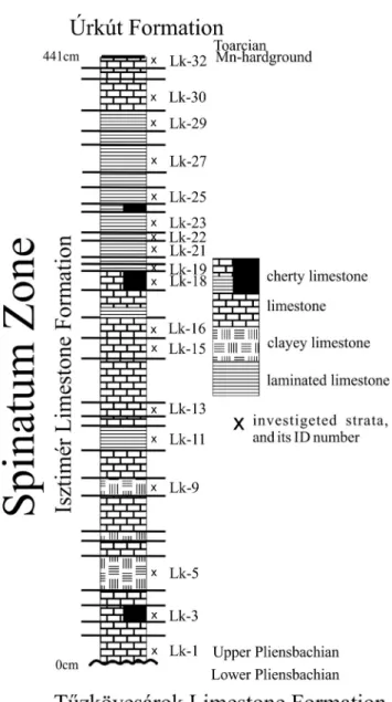 Figure 3 illustrates the detailed stratigraphy of the Upper Pliensbachian layers as measured during our sampling.
