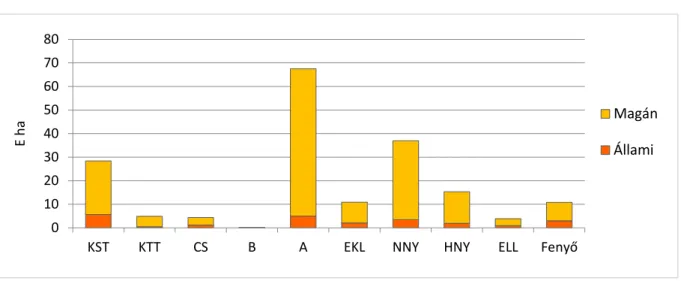 9. ábra: Erdőtelepítés az állami és magán szektorban - fafajonként  
